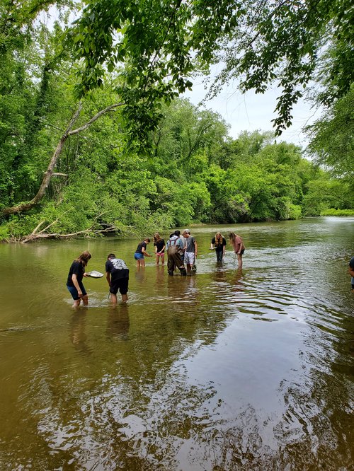 KITC macroinvertebrate sampling at Marion greenway.