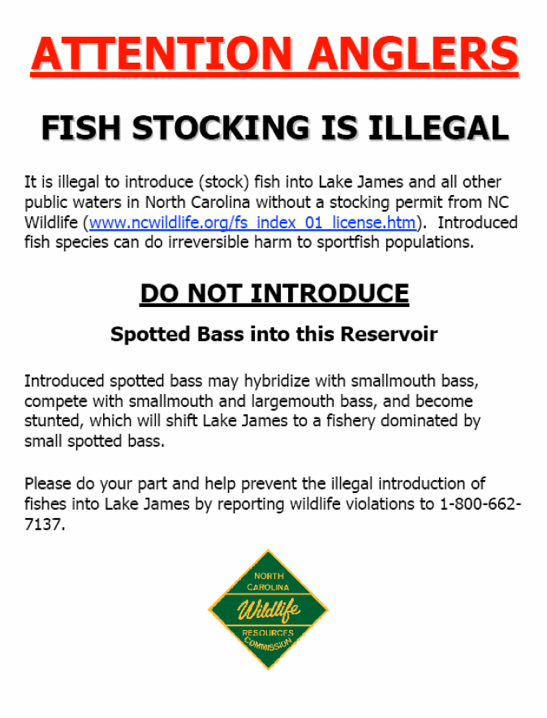 Attention Anglers