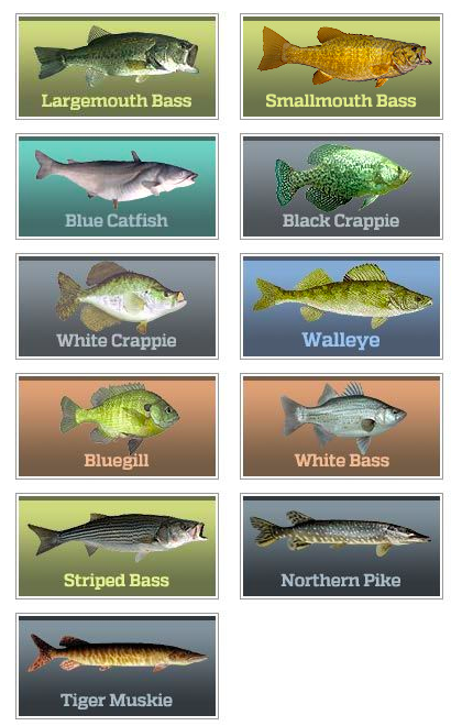 Fish Species in Lake James.png