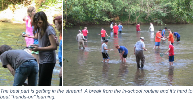 Kids in the Creek.png