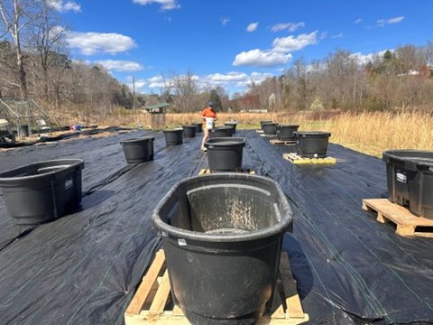 Outdoor mesocosm lab.jpg