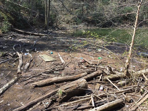 Typical (non-flood) state of a cove in Lake James