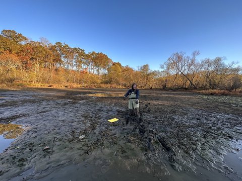 Zoe Riggs in wetland.jpg