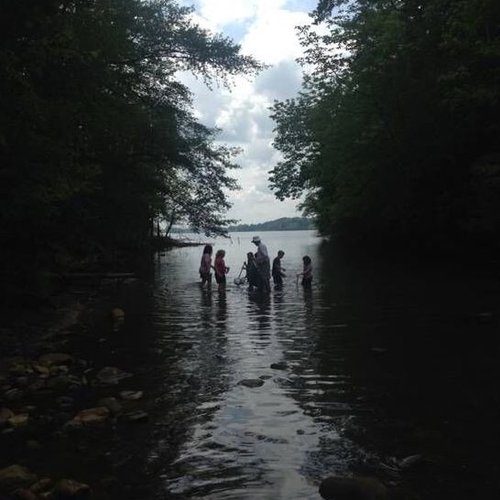 Kids in the Creek