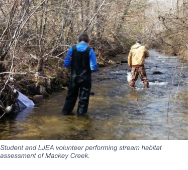 stream assessment mackey creek.png